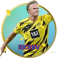 BK8BV