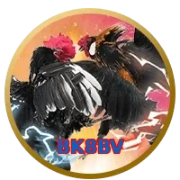 BK8BV